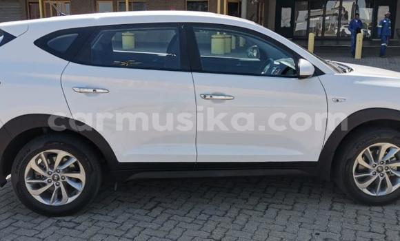 Buy Used Hyundai Tucson White Car in Beitbridge in Matabeleland South Buy Used Hyundai Tucson White Car in Beitbridge in Matabeleland South