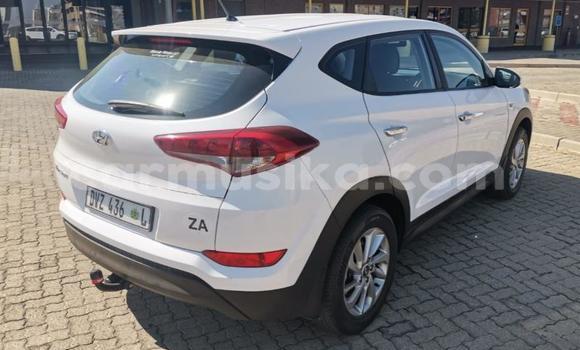 Buy Used Hyundai Tucson White Car in Beitbridge in Matabeleland South Buy Used Hyundai Tucson White Car in Beitbridge in Matabeleland South