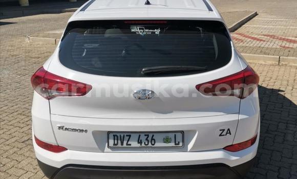 Buy Used Hyundai Tucson White Car in Beitbridge in Matabeleland South Buy Used Hyundai Tucson White Car in Beitbridge in Matabeleland South
