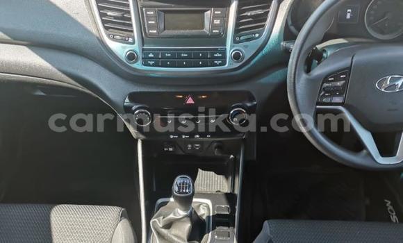 Buy Used Hyundai Tucson White Car in Beitbridge in Matabeleland South Buy Used Hyundai Tucson White Car in Beitbridge in Matabeleland South