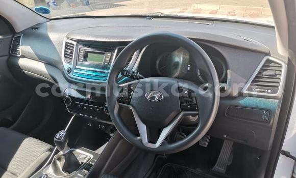 Buy Used Hyundai Tucson White Car in Beitbridge in Matabeleland South Buy Used Hyundai Tucson White Car in Beitbridge in Matabeleland South