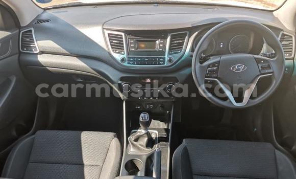 Buy Used Hyundai Tucson White Car in Beitbridge in Matabeleland South Buy Used Hyundai Tucson White Car in Beitbridge in Matabeleland South