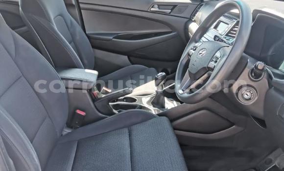 Buy Used Hyundai Tucson White Car in Beitbridge in Matabeleland South Buy Used Hyundai Tucson White Car in Beitbridge in Matabeleland South