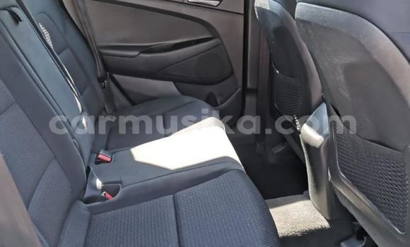 Buy Used Hyundai Tucson White Car in Beitbridge in Matabeleland South Buy Used Hyundai Tucson White Car in Beitbridge in Matabeleland South