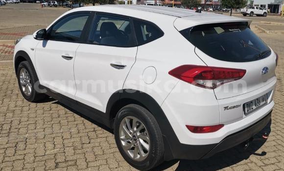 Buy Used Hyundai Tucson White Car in Beitbridge in Matabeleland South Buy Used Hyundai Tucson White Car in Beitbridge in Matabeleland South