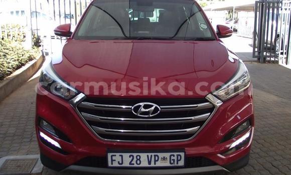 Buy Used Hyundai Tucson Red Car in Beitbridge in Matabeleland South