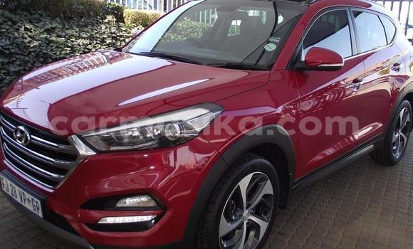 Buy Used Hyundai Tucson Red Car in Beitbridge in Matabeleland South Buy Used Hyundai Tucson Red Car in Beitbridge in Matabeleland South