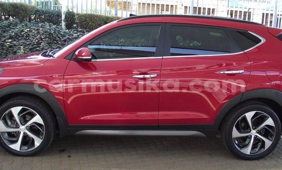 Buy Used Hyundai Tucson Red Car in Beitbridge in Matabeleland South Buy Used Hyundai Tucson Red Car in Beitbridge in Matabeleland South