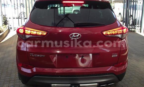Buy Used Hyundai Tucson Red Car in Beitbridge in Matabeleland South Buy Used Hyundai Tucson Red Car in Beitbridge in Matabeleland South
