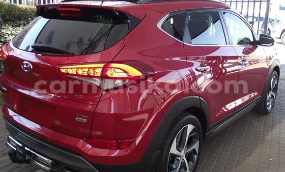 Buy Used Hyundai Tucson Red Car in Beitbridge in Matabeleland South Buy Used Hyundai Tucson Red Car in Beitbridge in Matabeleland South