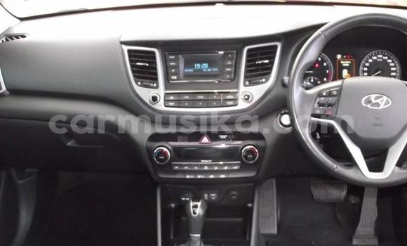 Buy Used Hyundai Tucson Red Car in Beitbridge in Matabeleland South Buy Used Hyundai Tucson Red Car in Beitbridge in Matabeleland South