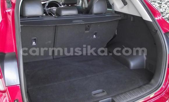 Buy Used Hyundai Tucson Red Car in Beitbridge in Matabeleland South Buy Used Hyundai Tucson Red Car in Beitbridge in Matabeleland South