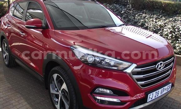Buy Used Hyundai Tucson Red Car in Beitbridge in Matabeleland South Buy Used Hyundai Tucson Red Car in Beitbridge in Matabeleland South