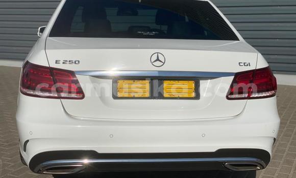 Acheter Occasion Voiture Mercedes‒Benz E–Class Blanc à Beitbridge, Matabeleland South Acheter Occasion Voiture Mercedes‒Benz E–Class Blanc à Beitbridge, Matabeleland South