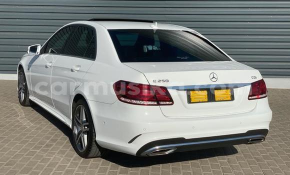 Acheter Occasion Voiture Mercedes‒Benz E–Class Blanc à Beitbridge, Matabeleland South Acheter Occasion Voiture Mercedes‒Benz E–Class Blanc à Beitbridge, Matabeleland South