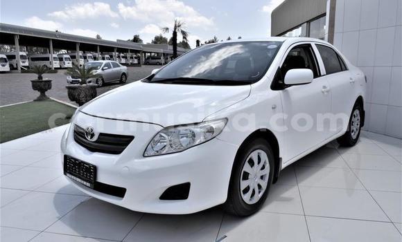 Buy Used Toyota Corolla White Car in Beitbridge in Matabeleland South