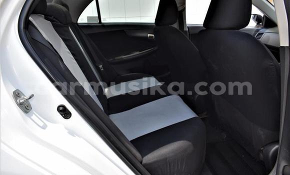 Nunua Ilio tumika Toyota Corolla Nyeupe Gari ndani ya Beitbridge nchini Matabeleland Kusini Nunua Ilio tumika Toyota Corolla Nyeupe Gari ndani ya Beitbridge nchini Matabeleland Kusini