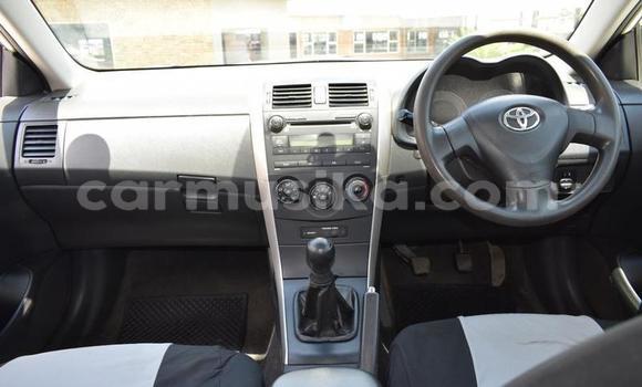 Nunua Ilio tumika Toyota Corolla Nyeupe Gari ndani ya Beitbridge nchini Matabeleland Kusini Nunua Ilio tumika Toyota Corolla Nyeupe Gari ndani ya Beitbridge nchini Matabeleland Kusini