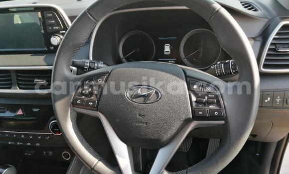 Acheter Occasion Voiture Hyundai Tucson Blanc à Beitbridge, Matabeleland South Acheter Occasion Voiture Hyundai Tucson Blanc à Beitbridge, Matabeleland South