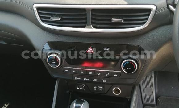 Acheter Occasion Voiture Hyundai Tucson Blanc à Beitbridge, Matabeleland South Acheter Occasion Voiture Hyundai Tucson Blanc à Beitbridge, Matabeleland South