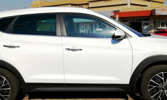 Acheter Occasion Voiture Hyundai Tucson Blanc à Beitbridge, Matabeleland South Acheter Occasion Voiture Hyundai Tucson Blanc à Beitbridge, Matabeleland South