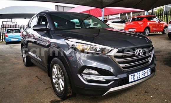 Buy Used Hyundai Tucson Silver Car in Beitbridge in Matabeleland South