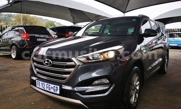 Buy Used Hyundai Tucson Silver Car in Beitbridge in Matabeleland South Buy Used Hyundai Tucson Silver Car in Beitbridge in Matabeleland South