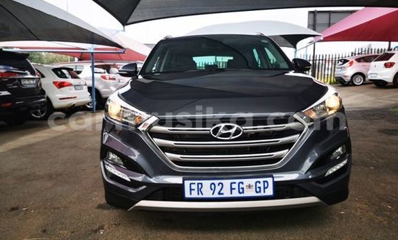 Buy Used Hyundai Tucson Silver Car in Beitbridge in Matabeleland South Buy Used Hyundai Tucson Silver Car in Beitbridge in Matabeleland South