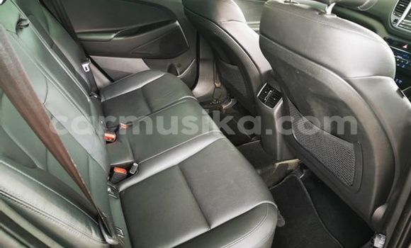 Buy Used Hyundai Tucson Silver Car in Beitbridge in Matabeleland South Buy Used Hyundai Tucson Silver Car in Beitbridge in Matabeleland South