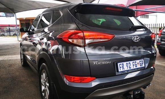 Buy Used Hyundai Tucson Silver Car in Beitbridge in Matabeleland South Buy Used Hyundai Tucson Silver Car in Beitbridge in Matabeleland South