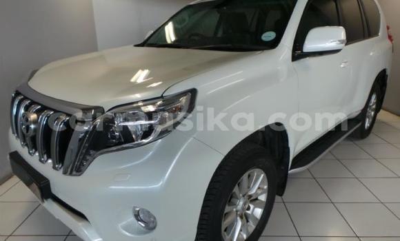 Buy Used Toyota Prado White Car in Harare in Harare