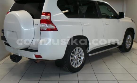 Nunua Ilio tumika Toyota Prado Nyeupe Gari ndani ya Harare nchini Harare Nunua Ilio tumika Toyota Prado Nyeupe Gari ndani ya Harare nchini Harare