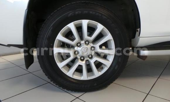 Nunua Ilio tumika Toyota Prado Nyeupe Gari ndani ya Harare nchini Harare Nunua Ilio tumika Toyota Prado Nyeupe Gari ndani ya Harare nchini Harare