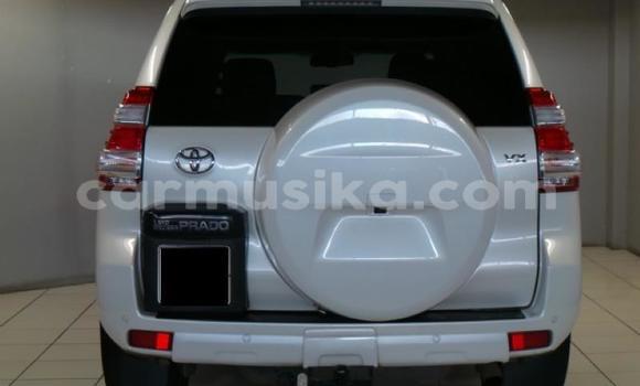 Nunua Ilio tumika Toyota Prado Nyeupe Gari ndani ya Harare nchini Harare Nunua Ilio tumika Toyota Prado Nyeupe Gari ndani ya Harare nchini Harare