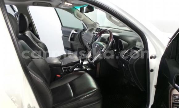 Nunua Ilio tumika Toyota Prado Nyeupe Gari ndani ya Harare nchini Harare Nunua Ilio tumika Toyota Prado Nyeupe Gari ndani ya Harare nchini Harare