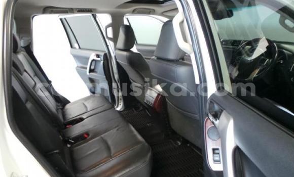 Nunua Ilio tumika Toyota Prado Nyeupe Gari ndani ya Harare nchini Harare Nunua Ilio tumika Toyota Prado Nyeupe Gari ndani ya Harare nchini Harare