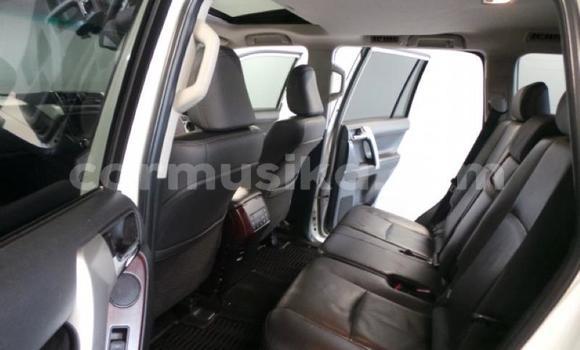 Nunua Ilio tumika Toyota Prado Nyeupe Gari ndani ya Harare nchini Harare Nunua Ilio tumika Toyota Prado Nyeupe Gari ndani ya Harare nchini Harare