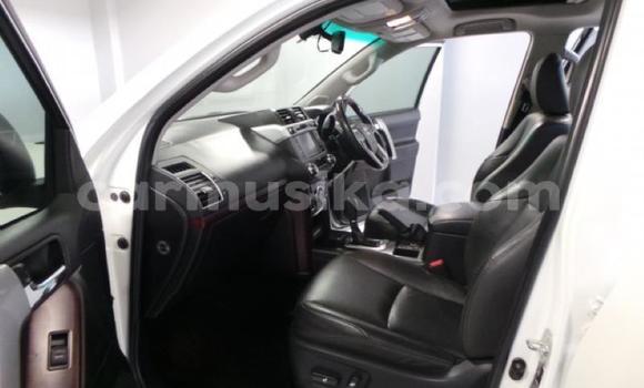 Nunua Ilio tumika Toyota Prado Nyeupe Gari ndani ya Harare nchini Harare Nunua Ilio tumika Toyota Prado Nyeupe Gari ndani ya Harare nchini Harare