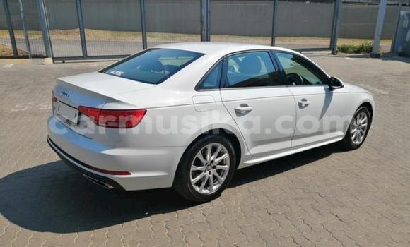 Buy Used Audi A4 White Car in Beitbridge in Matabeleland South Buy Used Audi A4 White Car in Beitbridge in Matabeleland South