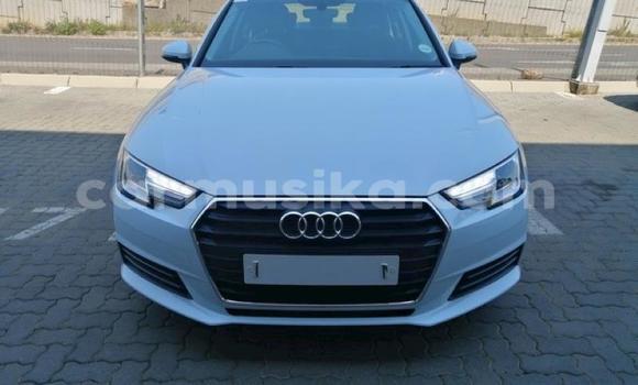 Buy Used Audi A4 White Car in Beitbridge in Matabeleland South Buy Used Audi A4 White Car in Beitbridge in Matabeleland South