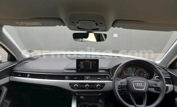 Buy Used Audi A4 White Car in Beitbridge in Matabeleland South Buy Used Audi A4 White Car in Beitbridge in Matabeleland South