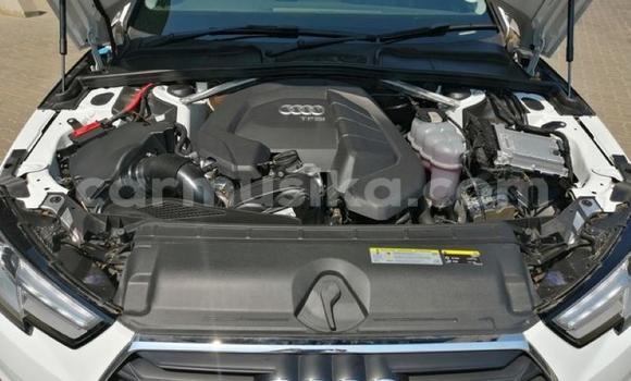 Buy Used Audi A4 White Car in Beitbridge in Matabeleland South Buy Used Audi A4 White Car in Beitbridge in Matabeleland South