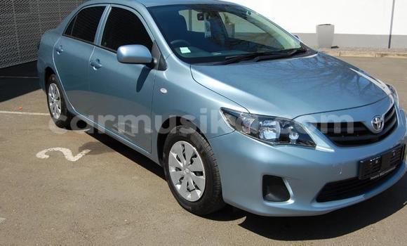 Nunua Ilio tumika Toyota Corolla Bluu Gari ndani ya Beitbridge nchini Matabeleland Kusini