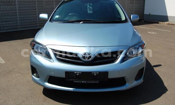 Buy Used Toyota Corolla Blue Car in Beitbridge in Matabeleland South Buy Used Toyota Corolla Blue Car in Beitbridge in Matabeleland South
