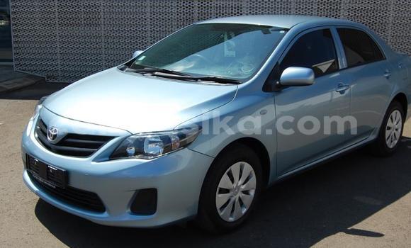 Buy Used Toyota Corolla Blue Car in Beitbridge in Matabeleland South Buy Used Toyota Corolla Blue Car in Beitbridge in Matabeleland South