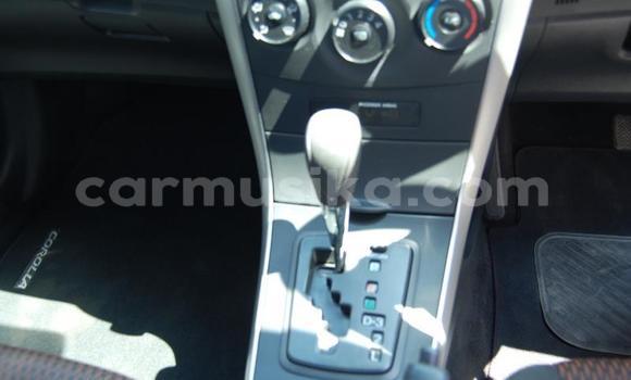 Buy Used Toyota Corolla Blue Car in Beitbridge in Matabeleland South Buy Used Toyota Corolla Blue Car in Beitbridge in Matabeleland South