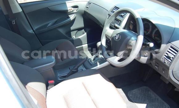 Buy Used Toyota Corolla Blue Car in Beitbridge in Matabeleland South Buy Used Toyota Corolla Blue Car in Beitbridge in Matabeleland South