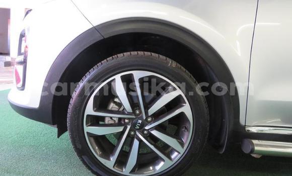 Tenga Tsaru Kia Sportage Chena Mota in Bulawayo in Bulawayo Tenga Tsaru Kia Sportage Chena Mota in Bulawayo in Bulawayo