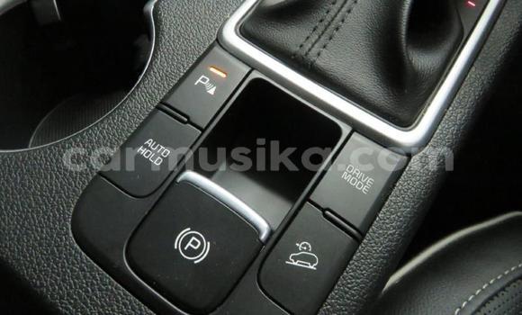 Tenga Tsaru Kia Sportage Chena Mota in Bulawayo in Bulawayo Tenga Tsaru Kia Sportage Chena Mota in Bulawayo in Bulawayo