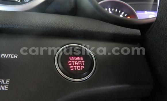 Tenga Tsaru Kia Sportage Chena Mota in Bulawayo in Bulawayo Tenga Tsaru Kia Sportage Chena Mota in Bulawayo in Bulawayo